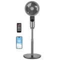 9-Inch Oscillating Pedestal Fan with Remote Control N23751