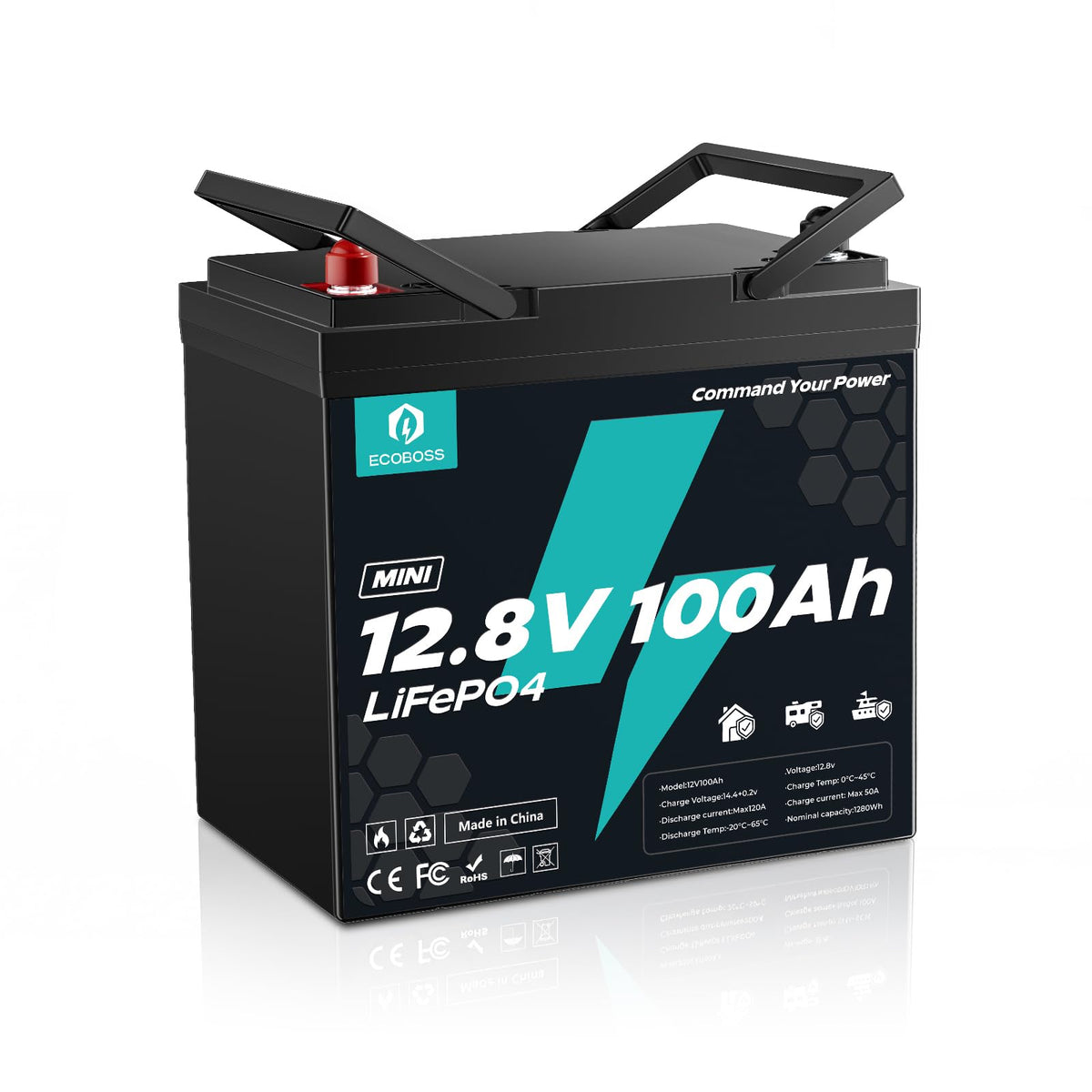 12V 100Ah Mini Lithium Battery D104707