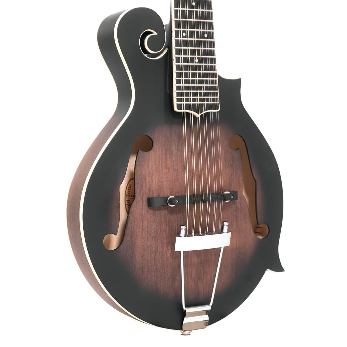 12-String Mando-Guitar with Hardshell Case G75774