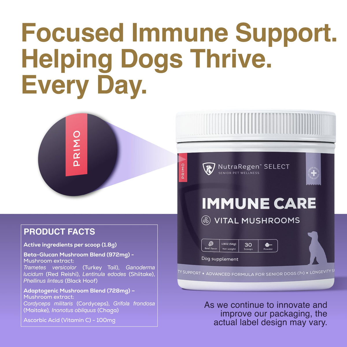 Dog Mushroom Supplement with Turkey Tail Z248108