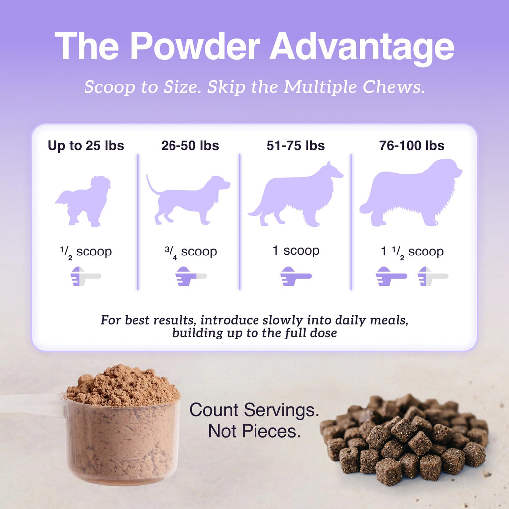 Dog Mushroom Supplement with Turkey Tail Z248108