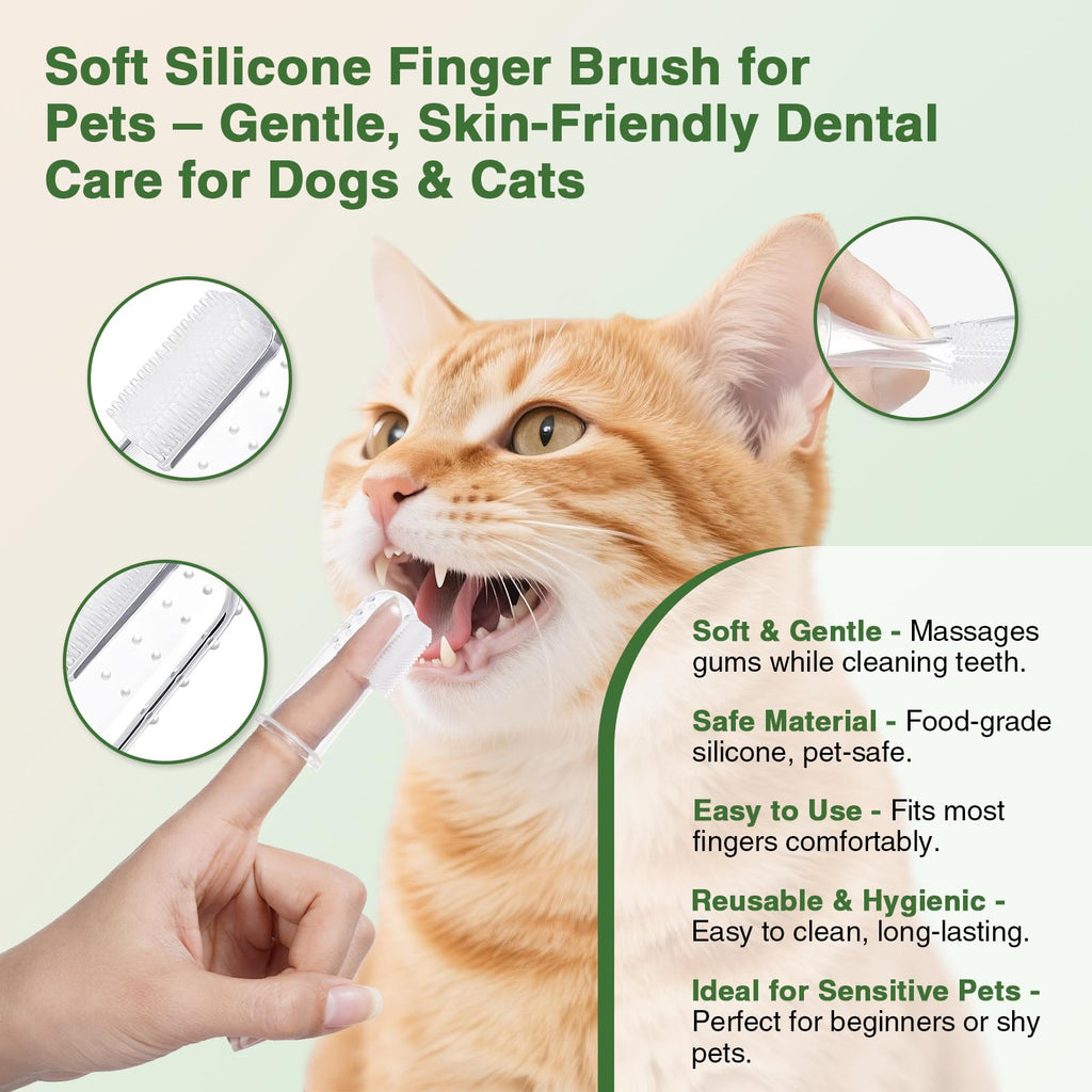 Watermelon Flavor Cat Toothpaste Kit with Finger Brush & Long-Handle Toothbrush D7874