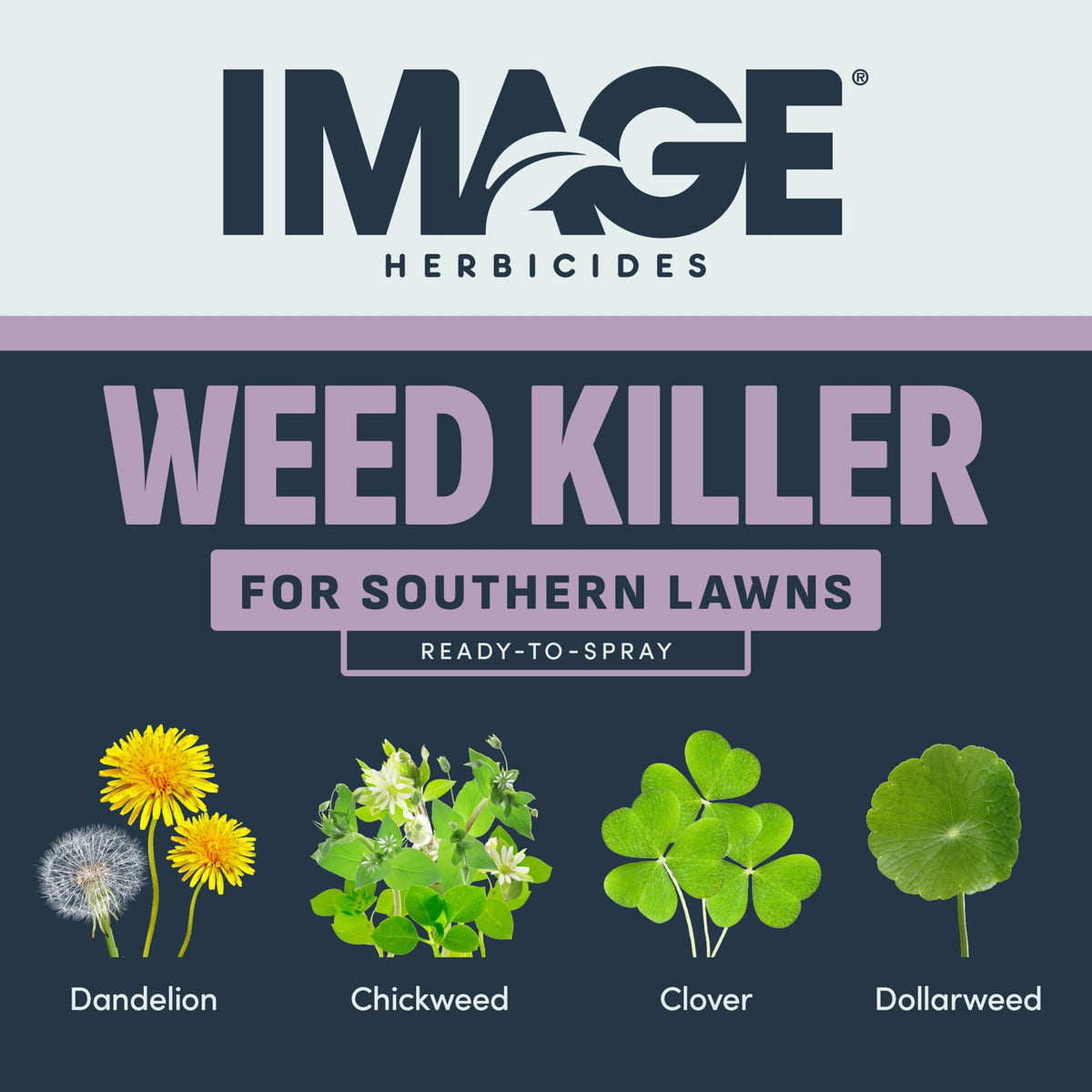 32 Oz Weed Killer N385