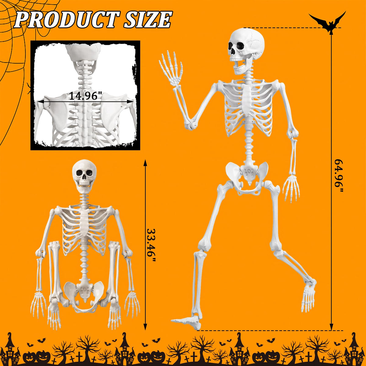 Life Size Human Skeleton with Posable Joint G521