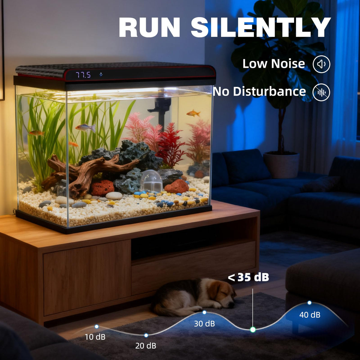 20 Gallon Glass Fish Tank Aquarium Starter Kit with LED Lights Filter Pump Y900870