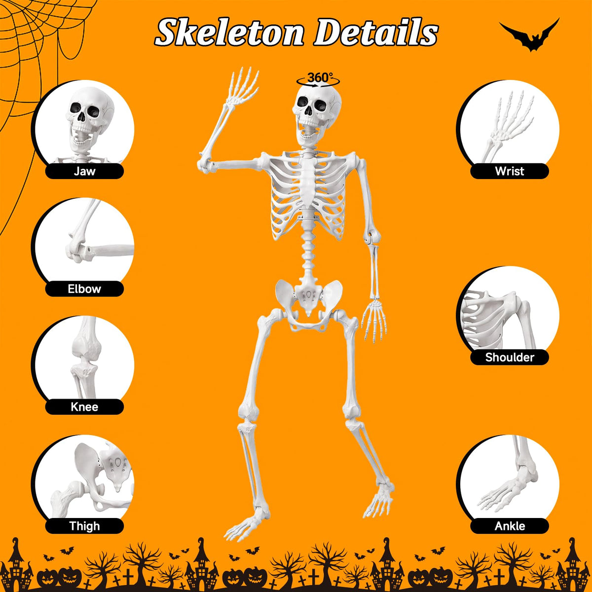 Life Size Human Skeleton with Posable Joint G521