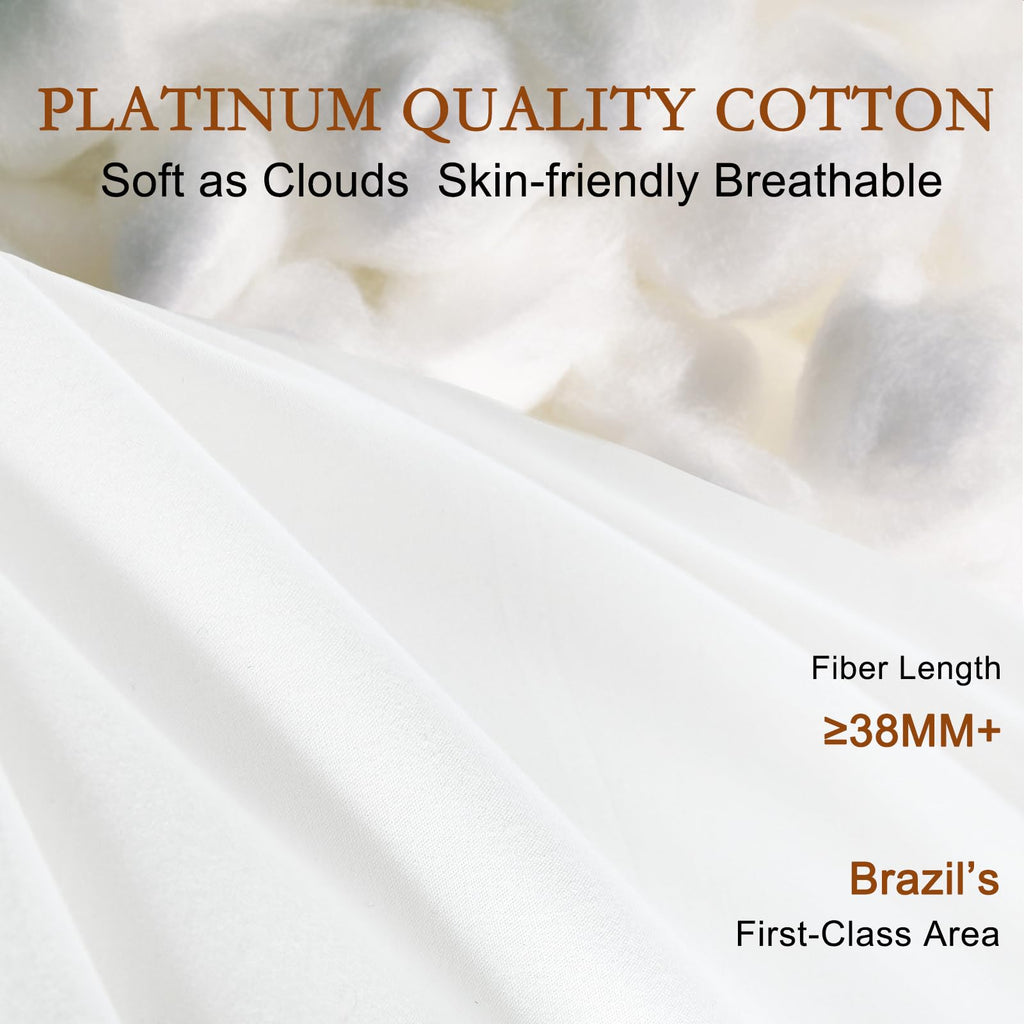 Soft Natural Wool Pillow King Size Set of 2 Cotton Cover W634