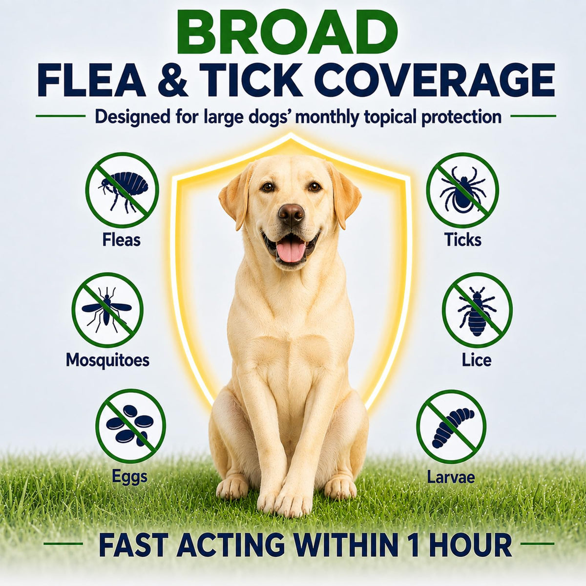 Flea and Tick Prevention for Large Dogs K23337