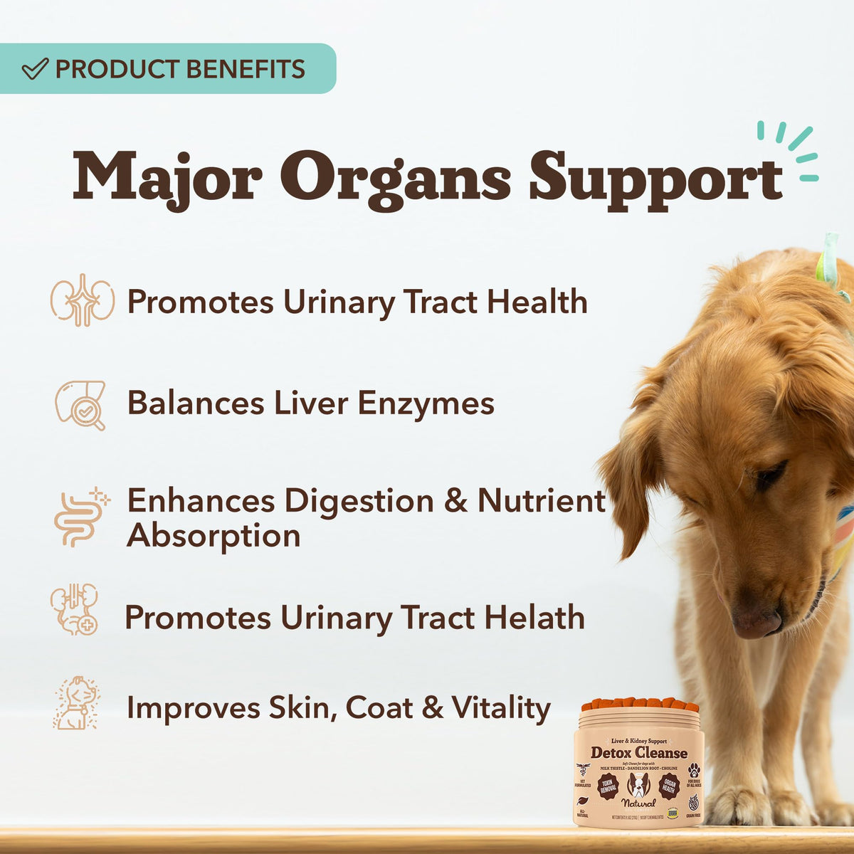 Liver & Kidney Supplement for Dogs 90 Soft Chews H24490