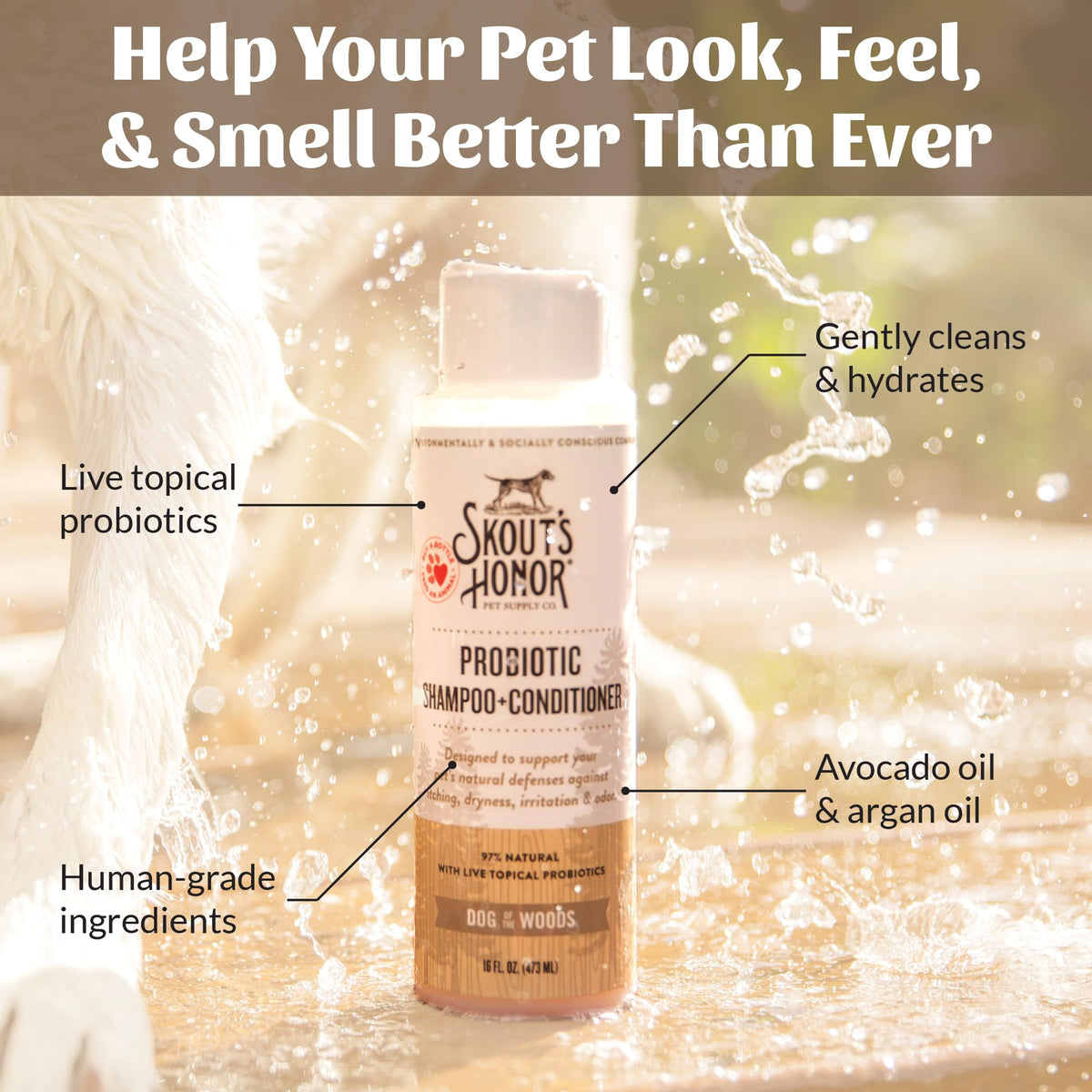 Probiotic Dog Shampoo and Conditioner 16 oz A16880