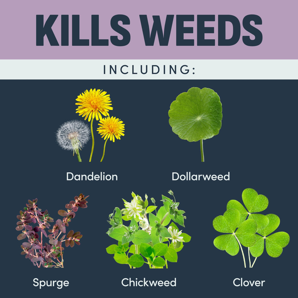 32 Oz Weed Killer N385