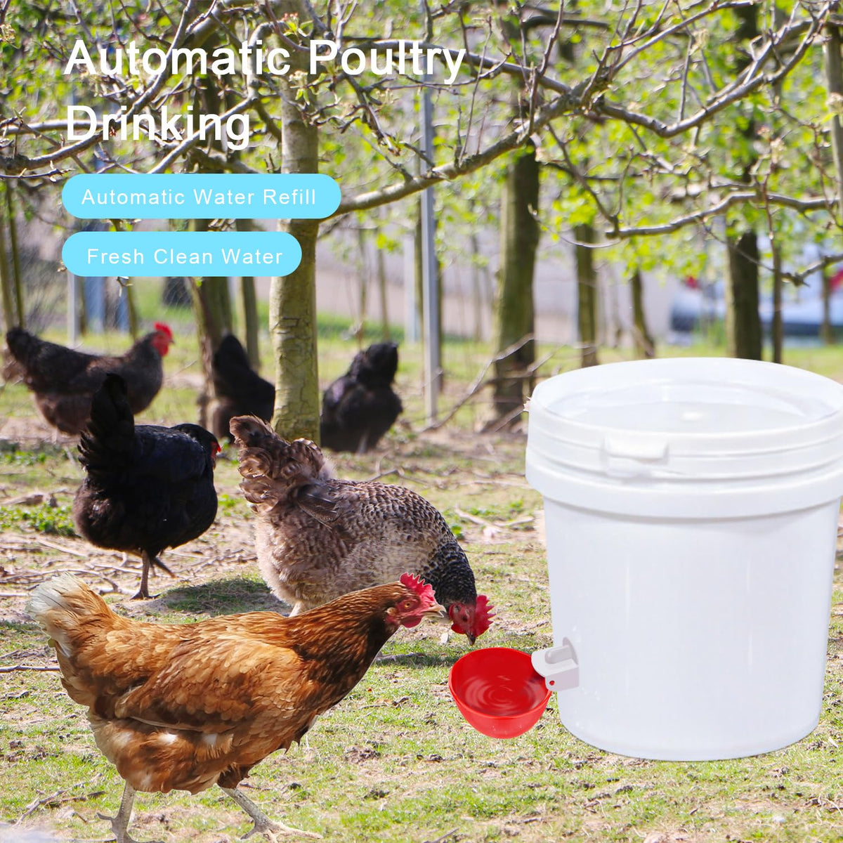 6 Packs Chicken Waterer Cups with Mounting Hole Opener D47216