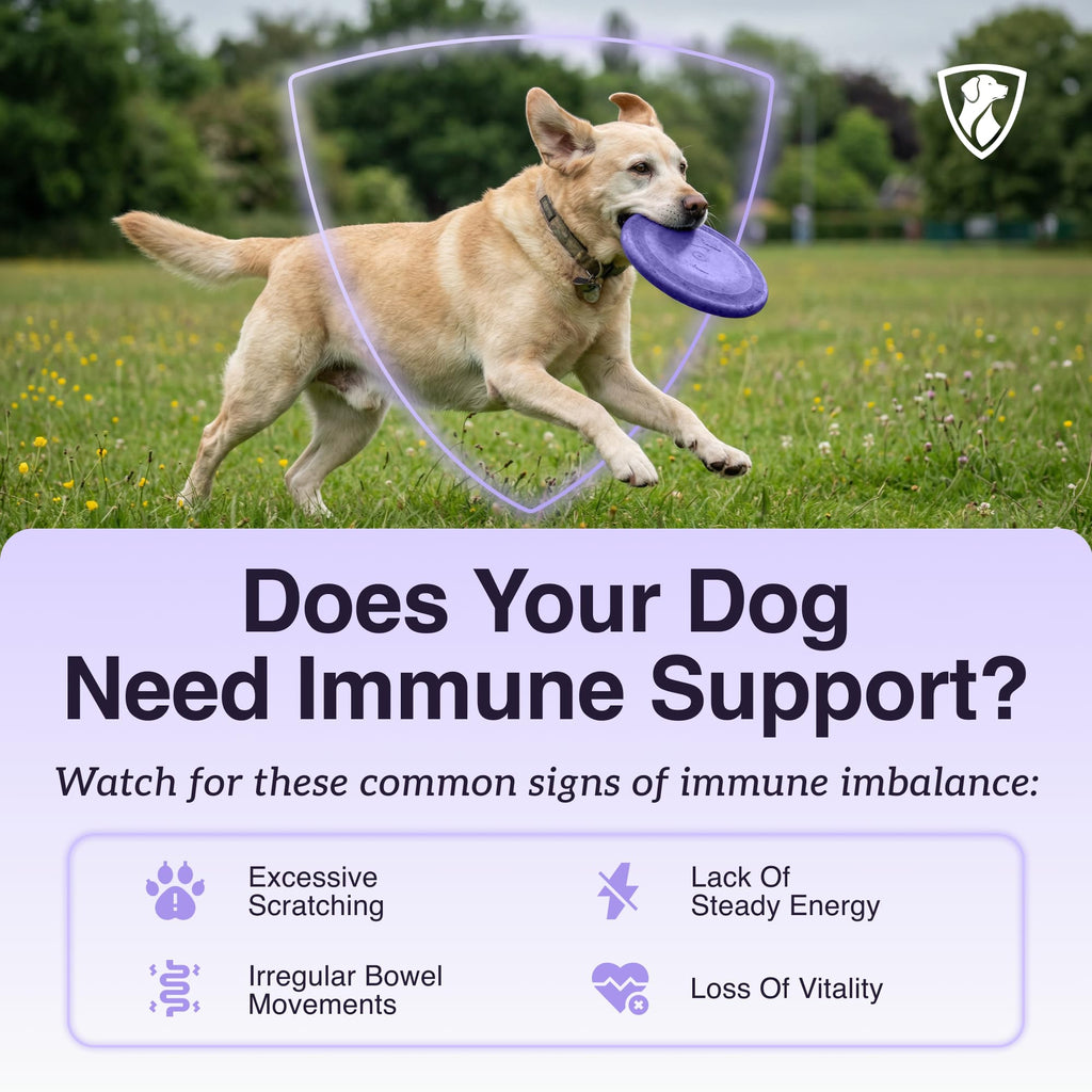 Dog Mushroom Supplement with Turkey Tail Z248108