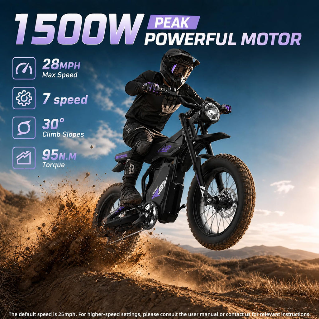 1500W Electric Bike with Pedal G4067