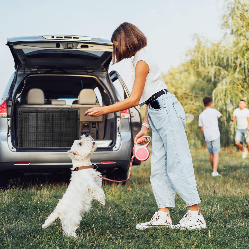 42 Inch Folding Metal Dog Crate with Tray and Handle X882757