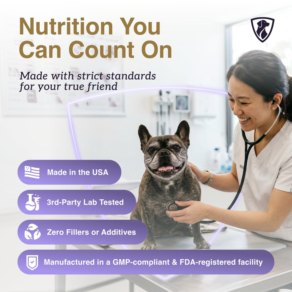 Dog Mushroom Supplement with Turkey Tail Z248108