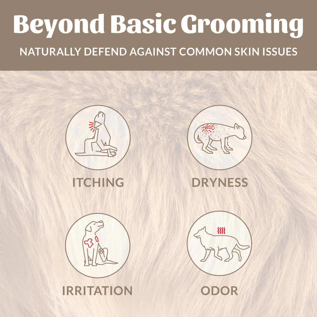 Probiotic Dog Shampoo and Conditioner 16 oz A16880