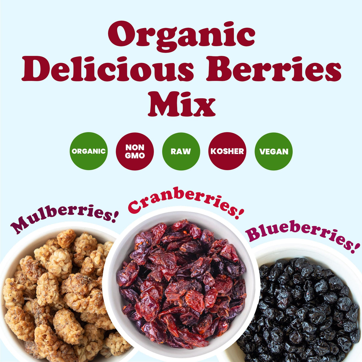 Organic Dried Berries Mix, 8 Ounces S152