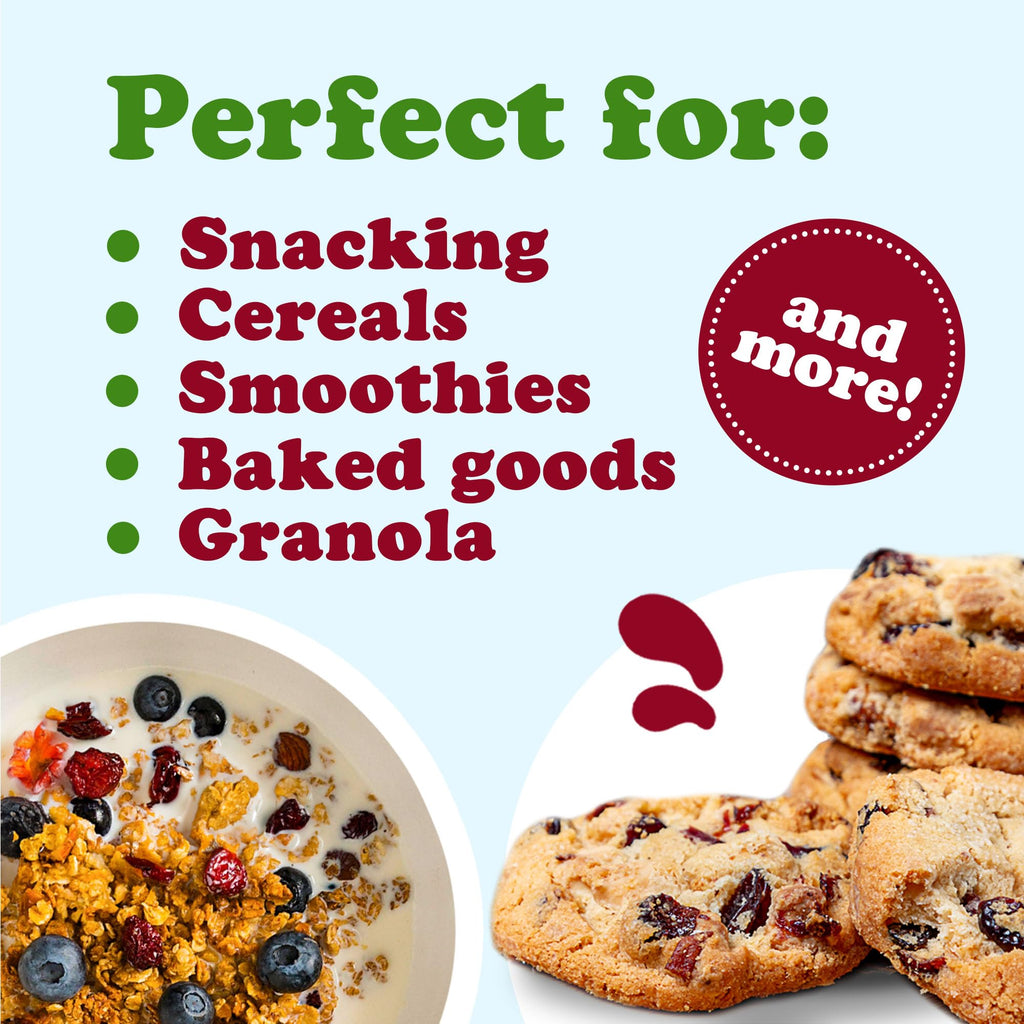 Organic Dried Berries Mix, 8 Ounces S152