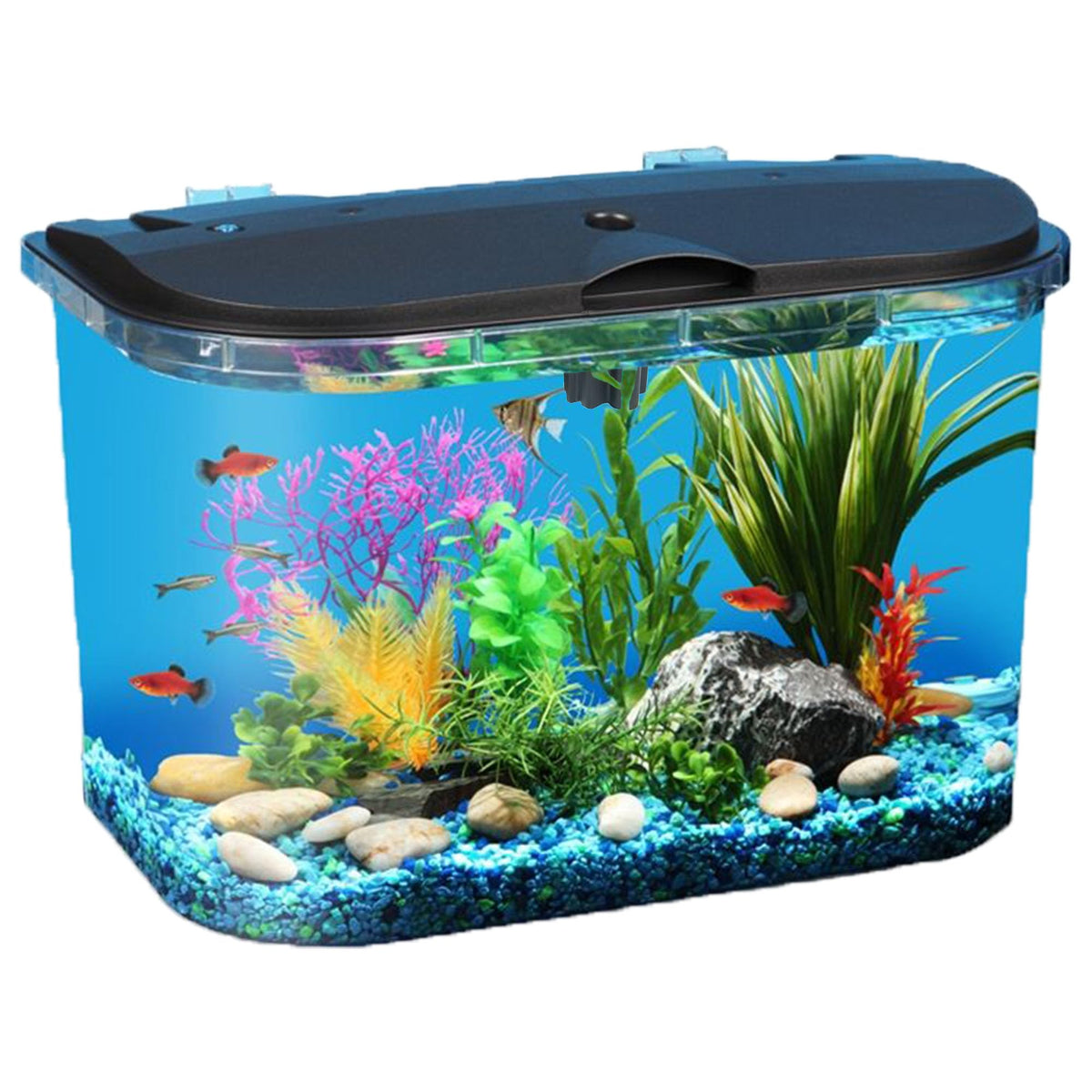 5-Gallon Aquarium Kit with LED Lighting and Power Filter R90165
