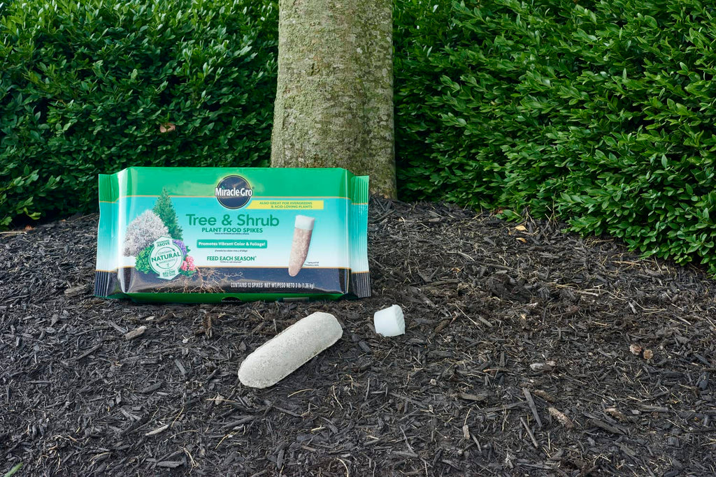 Tree & Shrub Plant Food Spikes 12 Spikes 2-Pack X498