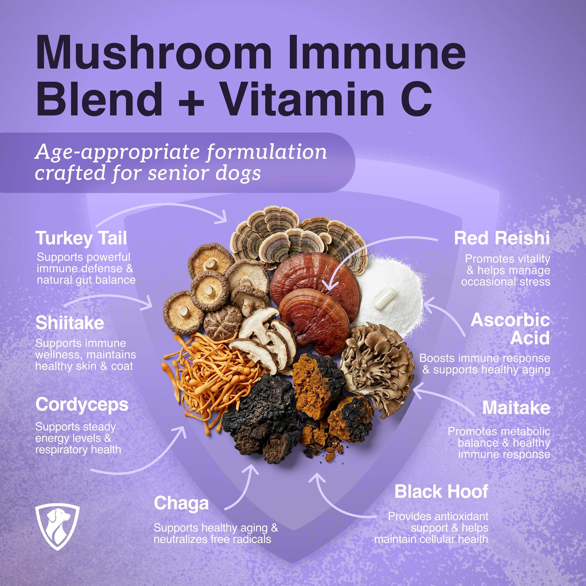 Dog Mushroom Supplement with Turkey Tail Z248108