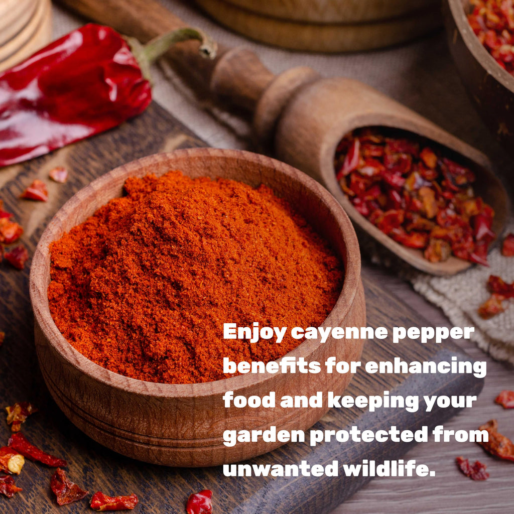 Ground Cayenne Pepper Powder, 5 Pounds M889736